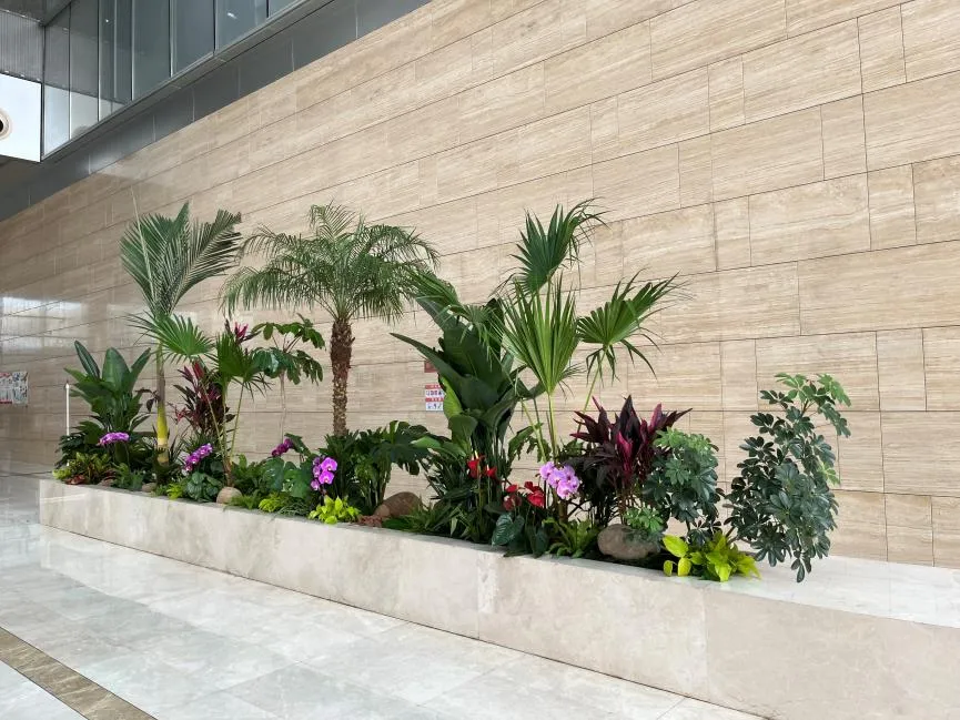 北仑花木租摆方案来袭，轻松营造魅力空间氛围